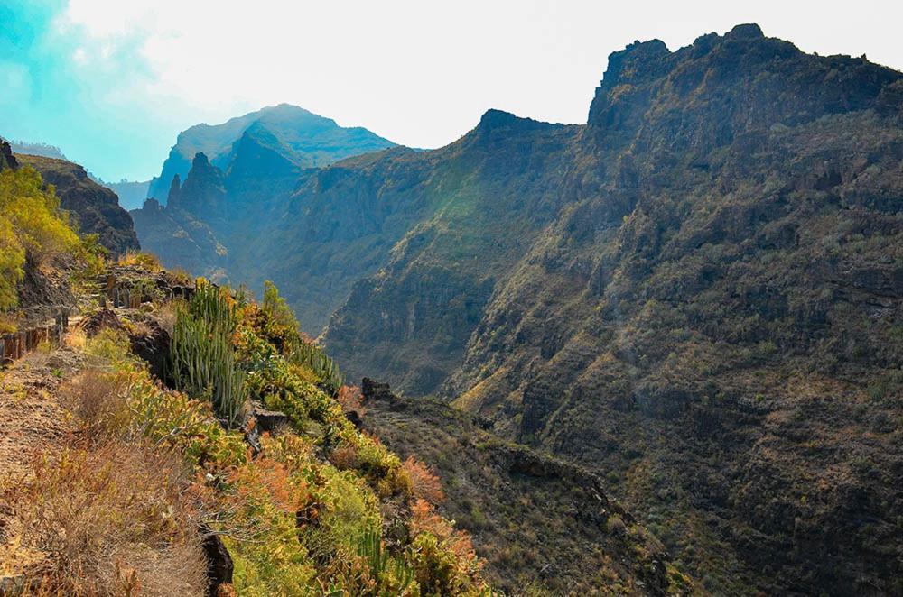 El Barranco De Adeje, Studio Wifi Free Costa Adeje  Ngoại thất bức ảnh